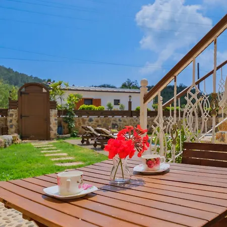 Yusuf Pasa 别墅 费特希耶