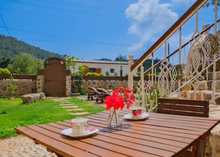 Yusuf Pasa 别墅 费特希耶