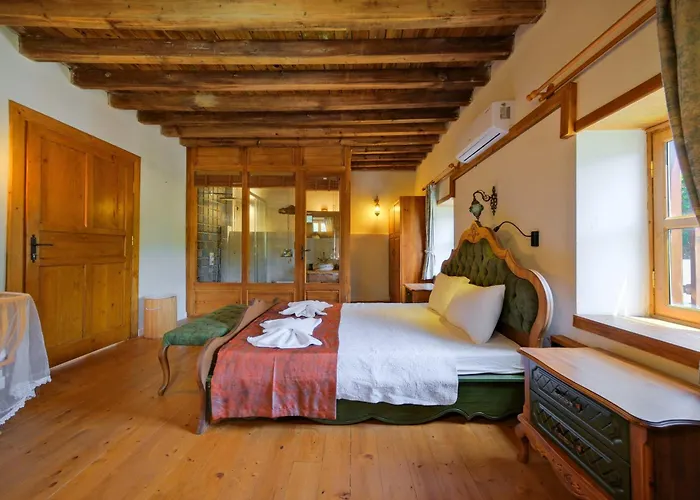 别墅 Yusuf Pasa 费特希耶