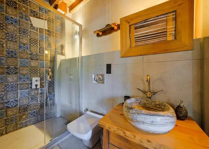 Yusuf Pasa 别墅 费特希耶