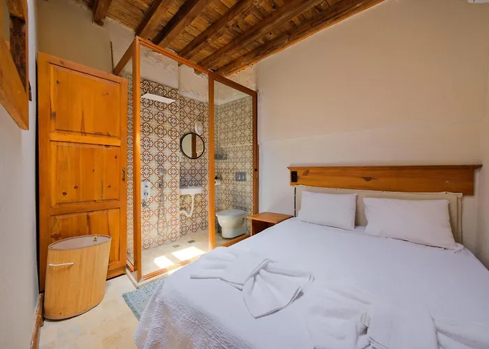 Yusuf Pasa * 费特希耶