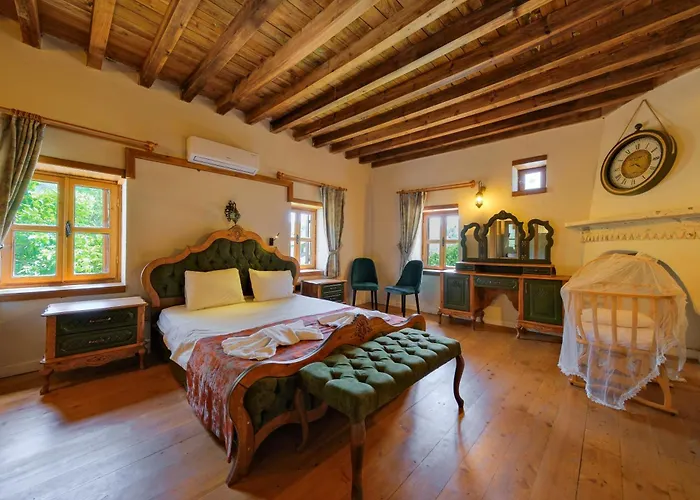 Yusuf Pasa * 费特希耶